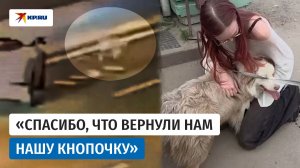 Спасли собаку, потерявшуюся на МКАДе