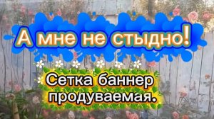 А мне не стыдно!  Сетка -баннер , продуваемая.