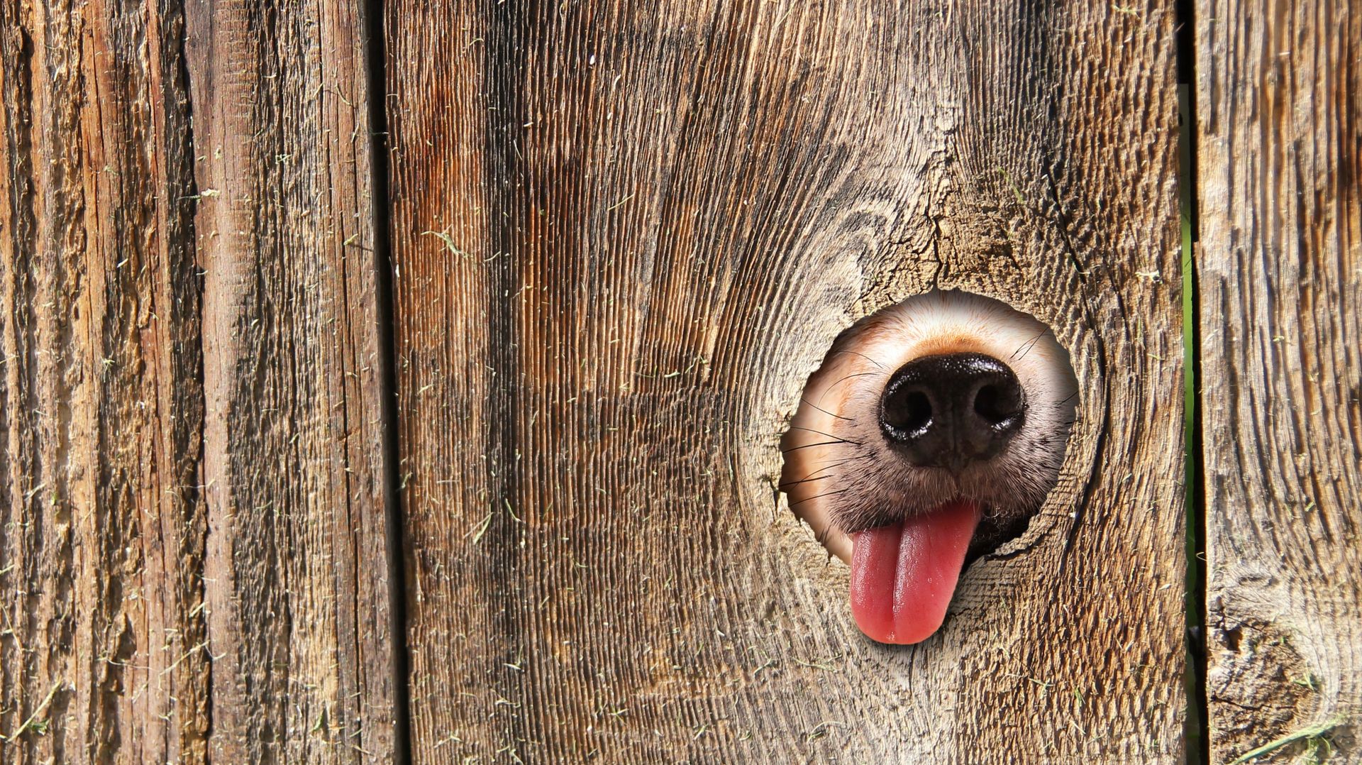 Ещё не слишком темно ,чтобы бояться ....;)