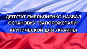 |Н. РФ| Депутат Емельяненко назвал остановку «Запорожстали» критической для Украины