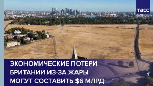 Экономические потери Британии из-за жары могут составить $6 млрд