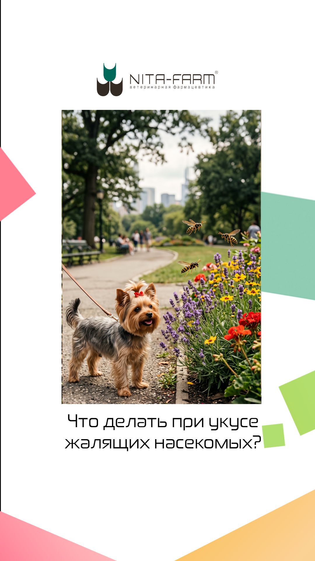Чем опасны укусы насекомых для питомцев