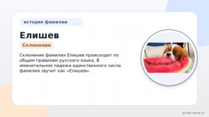Изучаем происхождение, историю, значение и склонение фамилии Елишев: все, что нужно знать