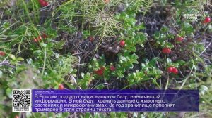 ДАЙДЖЕСТ «СЕВЕРНОГО ГОРОДА», 12.08.2026