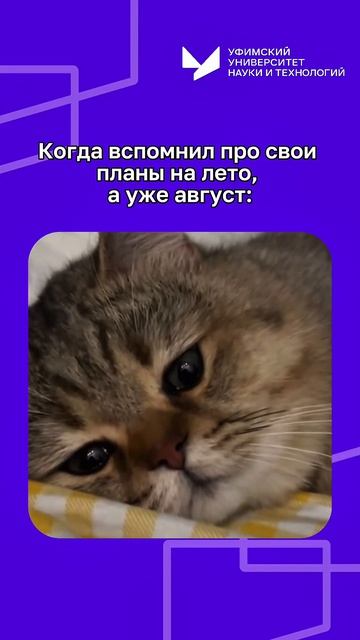 Когда вспомнил свои планы на лето