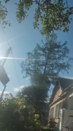 мои вопросы перед сном