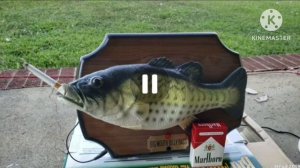 Big Mouth Billy Bass Destruction