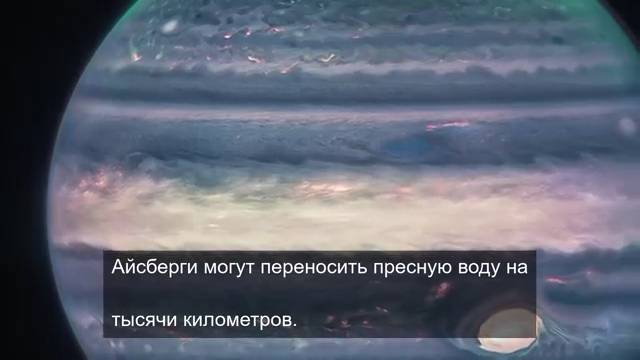 Жизненный путь тяжелого цветка 14