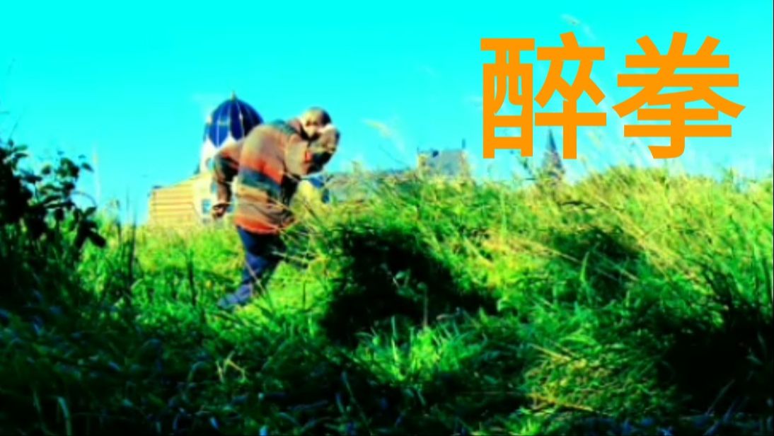 醉拳