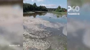 (Рыбинск-40) ПРИЧИНЫ ЭКОЛОГИЧЕСКОЙ ПРОБЛЕМЫ