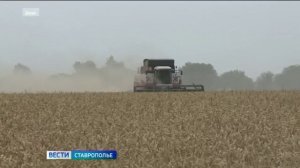 Российские аграрии ставят новые рекорды