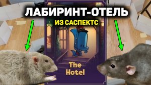 Мои крысы исследуют лабиринт-отель из Suspects