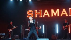 SHAMAN - Вороны мои