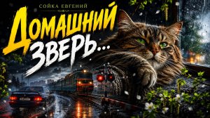 ДОМАШНИЙ ЗВЕРЬ