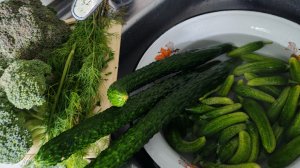 Дачные дни, два дня жары и борьба за урожай