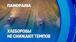 Хлеборобы ускоряют темпы: круглосуточная уборочная в Могилёвской области. Панорама