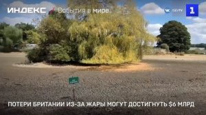 Потери Британии из-за жары могут достигнуть $6 млрд