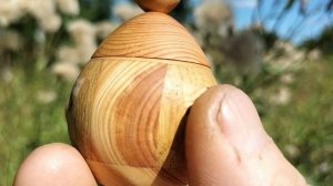 Шкатулка в августовском лесу