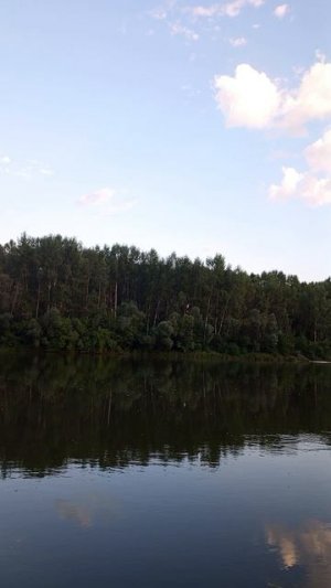 белая