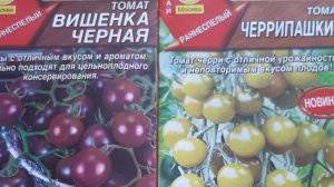 Томаты-фавориты этого года.