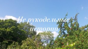 Не рукодельные истории//главный помощник😍