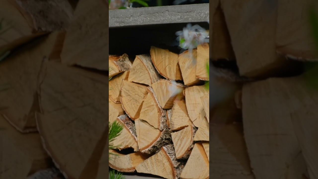 Возможно ли создать малоуходный сад? Смотрите в полном ролике