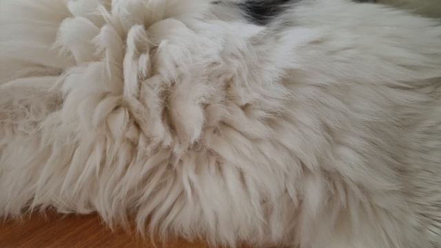 КОТИК КУЗЯ🥰💋💕