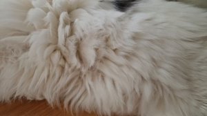 КОТИК КУЗЯ🥰💋💕