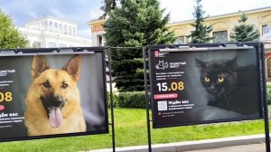 ВДНХ: обзор павильонов Кыргызстан и Казахстан 👀