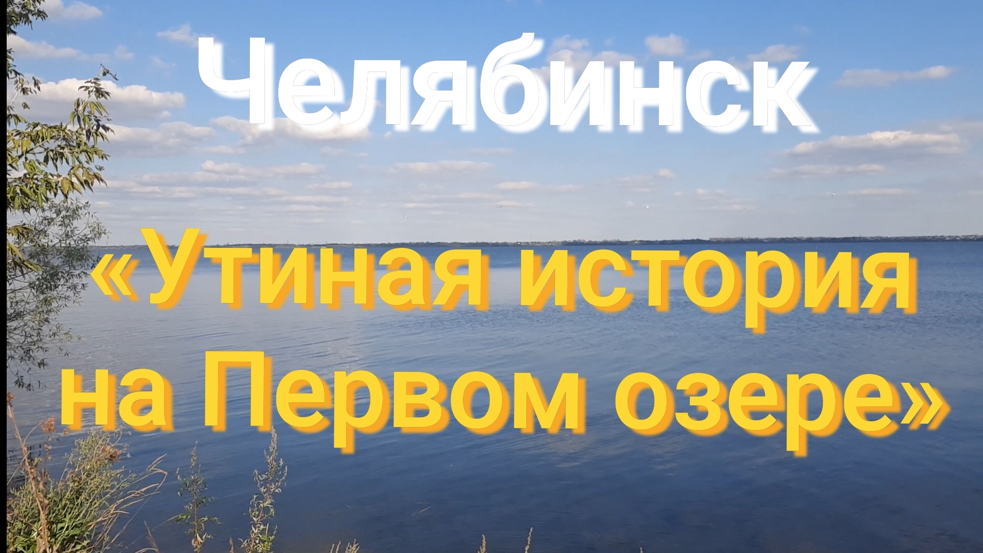 Дикие утки на Первом озере.