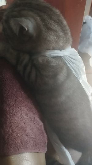 💙Доставочку заказывали?))