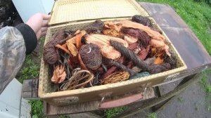 Три стиральные машины в разбор. Показываю копилку с медью