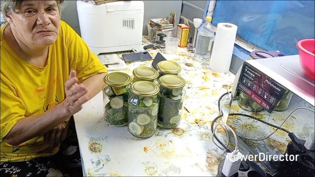 Завал с огурцами, не успеваю справляться.