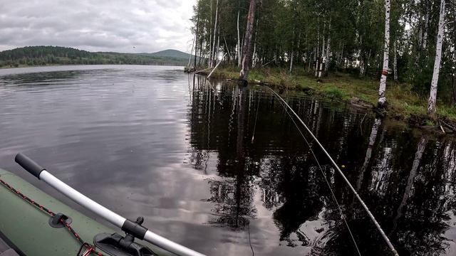 Порыбачил до обеда. Сегодня был день окуня. Долгобродское водохранилище.