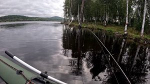 Порыбачил до обеда. Сегодня был день окуня. Долгобродское водохранилище.
