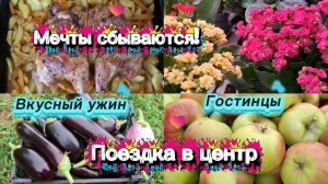 12-08-2026/Из Сибири на юг/Мечты сбываются/Поездка в центр/Бензин/Ужин/Гостинцы/
