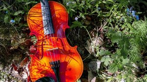 Скрипка музыка. Современная скрипка. Спокойная скрипка. Красивая скрипка. Грустная скрипка без слов