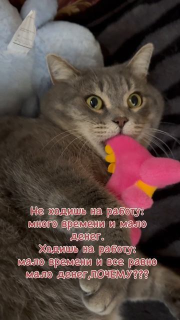 2026-08-12