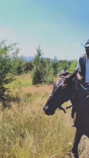 поездка на лошадях