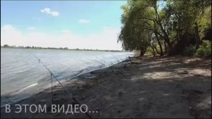 НОЧНАЯ РЫБАЛКА НА СОМА И САЗАНА! СПИННИНГИ ЛЕТАЮТ,СТОЙКИ ГНУТСЯ! Рыбалка на сома!