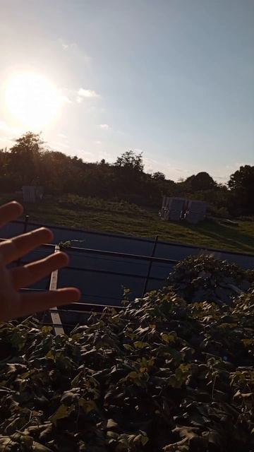 Видео для хейтеров 😛🤟 #Shorts