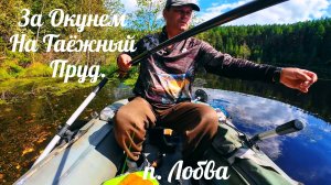 #2. Рыбалка на Окуня на Таёжном Пруду. Поставил кружок на Щуку.