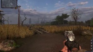 играю в сталкер чистое небо часть 1