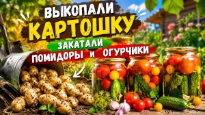 ДАЧНЫЙ ВЛОГ ЗАКРЫВАЕМ НА ЗИМУ ОГУРЦЫ И ПОМИДОРЫ А ТАК ЖЕ КОПАЕМ КАРТОШКУ