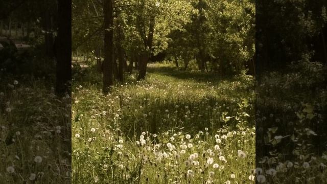 ищу людей в хаус в описание ссылка на хаус