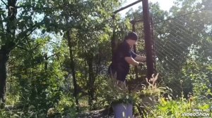 Дача радует хорошей погодой и чистым воздухом..