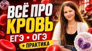 Кровь. Лимфа. Тканевая жидкость