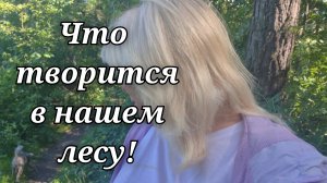 СОБАЧЬЯ НЯНЯ,ЧТО УВИДЕЛА В ЛЕСУ!/О ЧЁМ ДУМАЮ,О ТОМ ПОЮ!