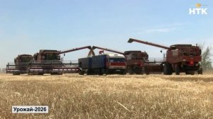 В Калмыкии собрали 1 миллион тонн зерна