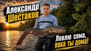 Александр Шестаков - Ловлю сома, пока ты дома